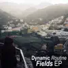 Dynamic Routine - Fields - Single